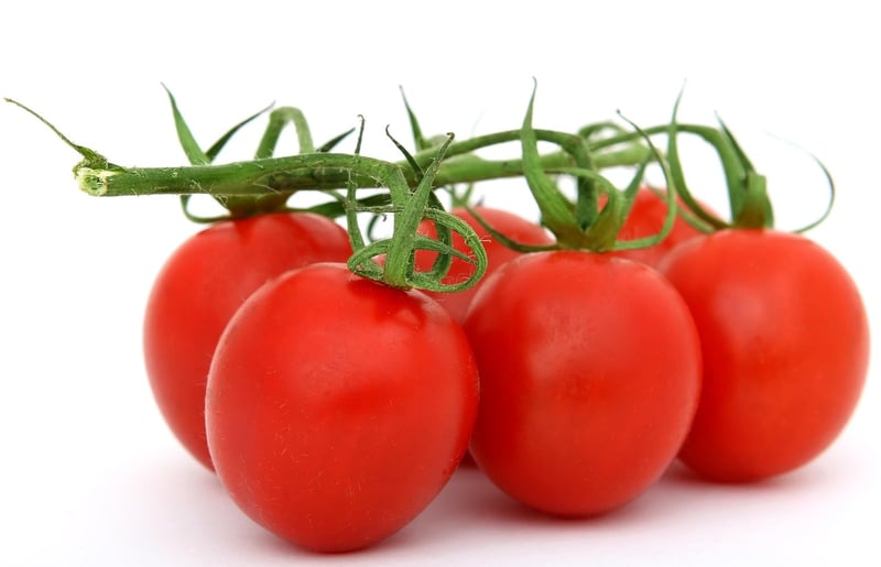 Food Ingredients
